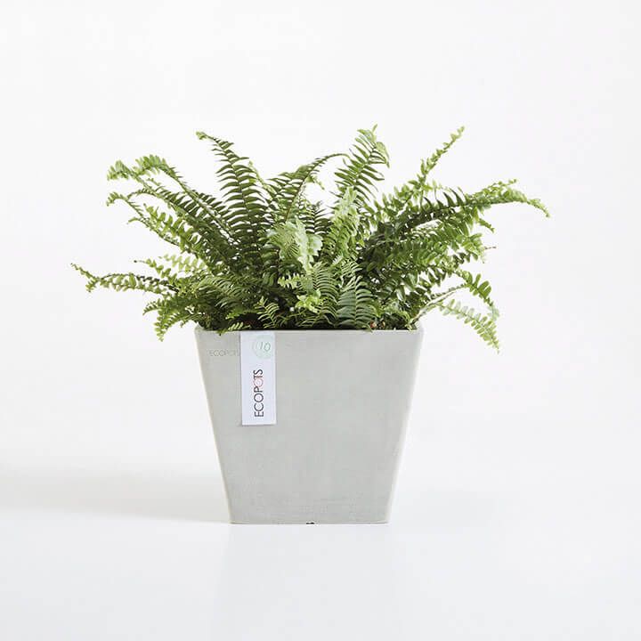 ECOPOT Sustainable Plant Pots