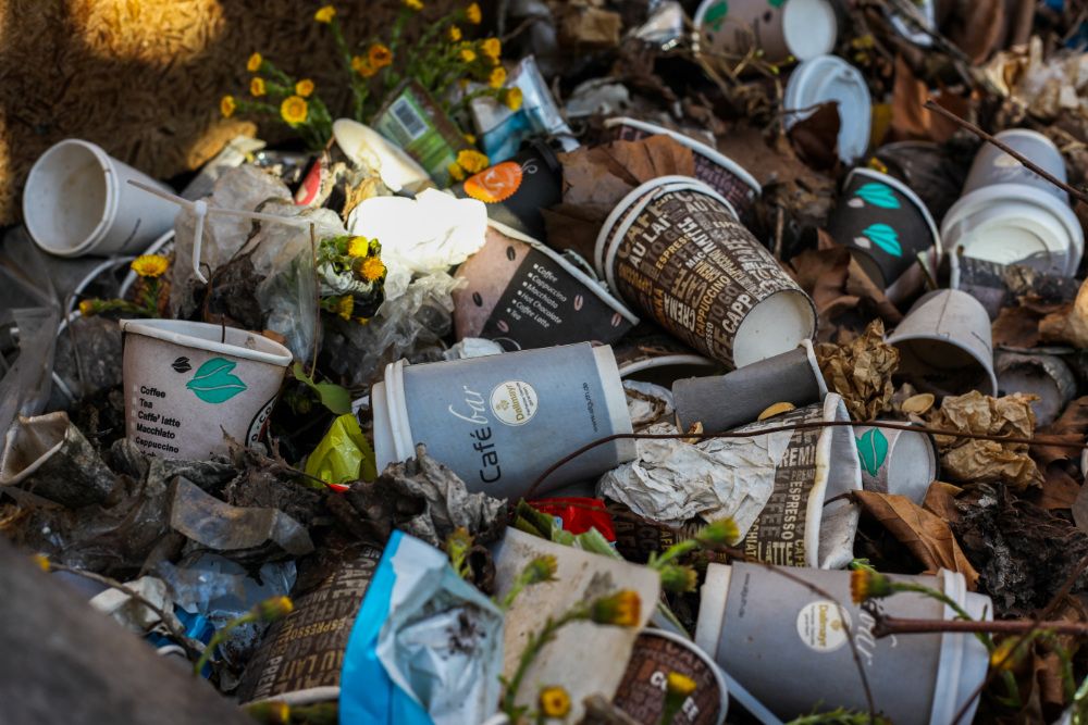 Pile of rubbish on the ground up against a tree, mainly consisting of disposable coffee cups.